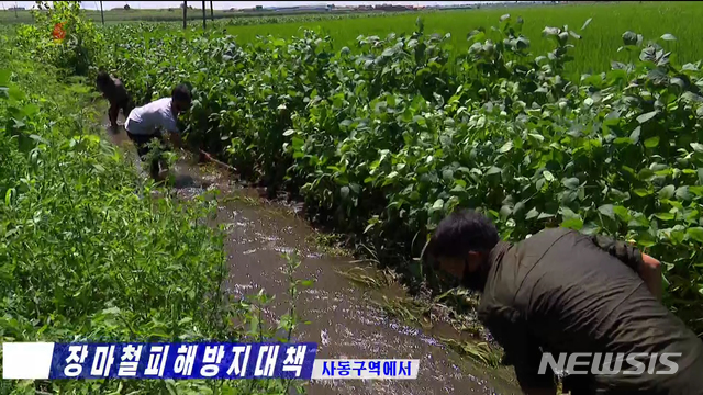 [서울=뉴시스]북한 조선중앙TV는 6일 평양시 사동구역 농민들이 수해 복구를 하는 모습을 보도했다. (사진=조선중앙TV 캡쳐) 2020.08.07 photo@newsis.com