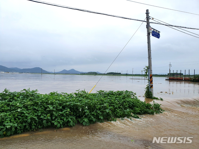 [나주=뉴시스]이창우 기자 = 연이틀 쏟아진 물폭탄에 영산강 나주 중류 구간이 범람 위기를 맞고 있는 가운데 나주 다시면 들녘이 침수되고 있다. 2020.08.08. lcw@newsis.com