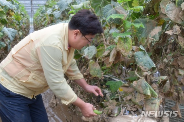 [서울=뉴시스] 수해복구 지원 나선 김성원 미래통합당 의원(사진 출처: 김성원 의원 페이스북). 2020.08.09