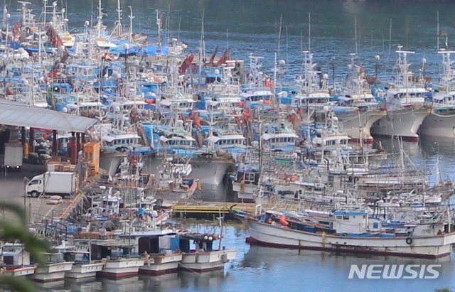 [제주=뉴시스] 양영전 기자 = 제5호 태풍 장미가 서귀포 남쪽 해상으로 북상하고 있는 가운데 제주 서귀포항에 선적들이 피항해 있다. 2020.08.09.&nbsp; 0jeoni@newsis.com