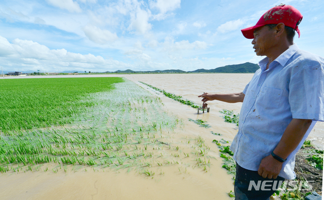 [나주=뉴시스] 변재훈 기자 = 9일 오전 전남 나주시 다시면 죽산리 죽지마을에서 한 농민이 물에 잠긴 논을 바라보고 있다. 최근 쏟아진 집중호우로 전날 오후 영산강 문평천 제방이 붕괴되면서 다시면 일대 농경지와 주택 등이 이틀째 물속에 잠겨 있다. 2020.08.09.&nbsp; wisdom21@newsis.com