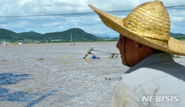 [나주=뉴시스] 변재훈 기자 = 9일 오전 전남 나주시 다시면 죽산리 죽지마을에서 한 농민이 물에 잠긴 논을 바라보고 있다. 최근 쏟아진 집중호우로 전날 오후 영산강 문평천 제방이 붕괴되면서 다시면 일대 농경지와 주택 등이 이틀째 물속에 잠겨 있다. 2020.08.09.&nbsp; wisdom21@newsis.com