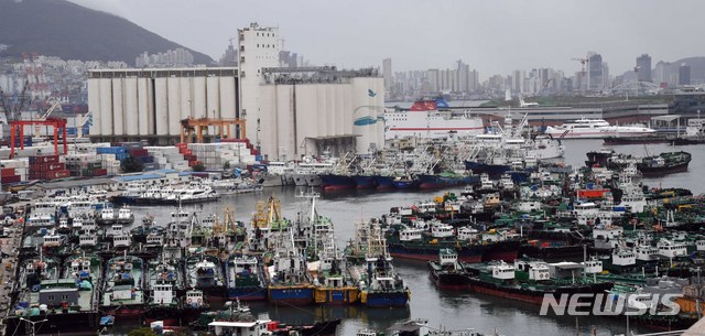 [부산=뉴시스] 하경민 기자 = 제5호 태풍 '장미'가 북상 중인 9일 오후 부산 동구 부산항 5부두에 미리 대피한 선박들이 줄지어 정박하고 있다. 2020.08.09.&nbsp; yulnetphoto@newsis.com