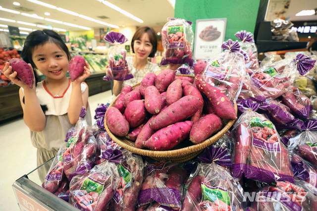 [서울=뉴시스]고창군 고구마 2020.08.10. photo@newsis.com