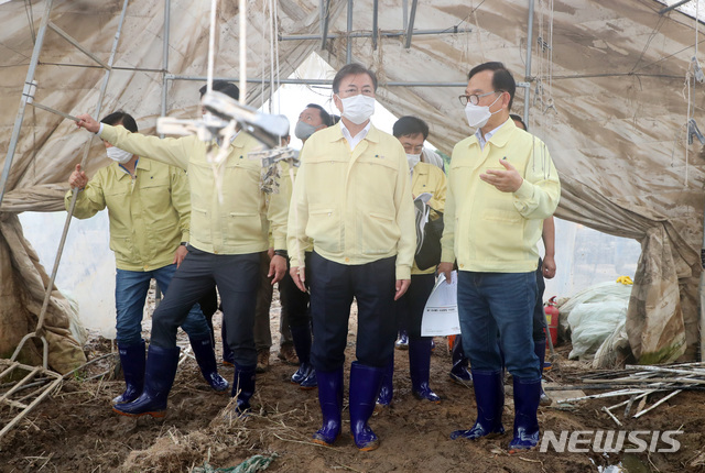 [천안=뉴시스]배훈식 기자 = 집중호우 피해현장 방문에 나선 문재인 대통령이 12일 충남 천안시 호우 피해농가인 오이 비닐하우스를 둘러보고 있다. 2020.08.12. dahora83@newsis.com