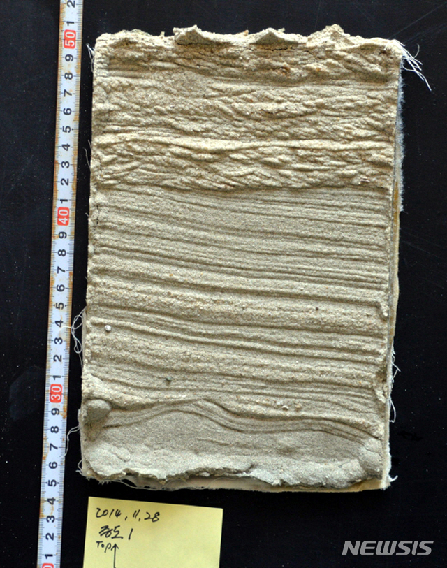 [신안=뉴시스] 갯벌의 단면모형 일명 '필(Peel)'. (사진=신안군 제공) 2020.08.13. photo@newsis.com 