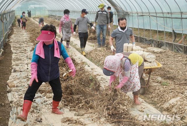 [진천=뉴시스]강신욱 기자 = 강원도 강릉시 옥계면 주민들이 최근 발생한 집중호우로 피해 복구에 안간힘을 쓰는 충북 진천군을 방문해 복구 지원에 나서고 있다. (사진=진천군 제공) 2020.08.14. photo@newsis.com