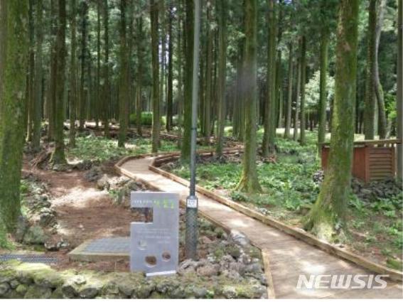 [제주=뉴시스] 제주 절물자연휴양림. (사진=뉴시스DB)