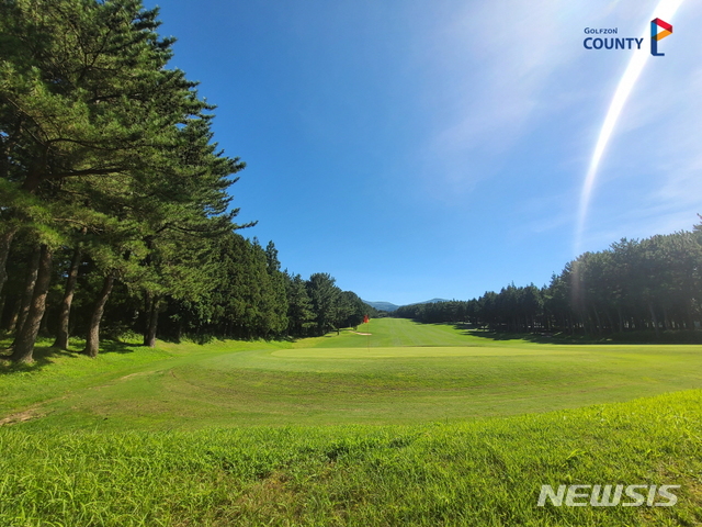 사진은 기사와 무관