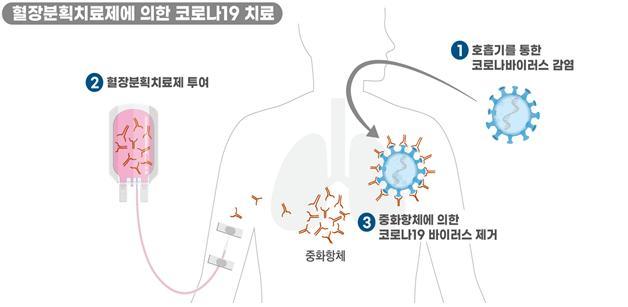 [서울=뉴시스] 혈장분획치료제 작용 원리(사진=한국 식약처 제공) 2020.8.20.