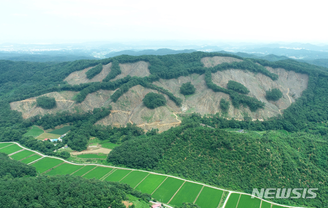 [대전=뉴시스] 산림청의 '2020 친환경벌채 우수사례' 심사에서 최우수 사례로 선정된 중부지방산림청 부여국유림관리소의 충남 공주시 의당면 중흥리 벌채지. (사진=뉴시스 DB). photo@newsis.com