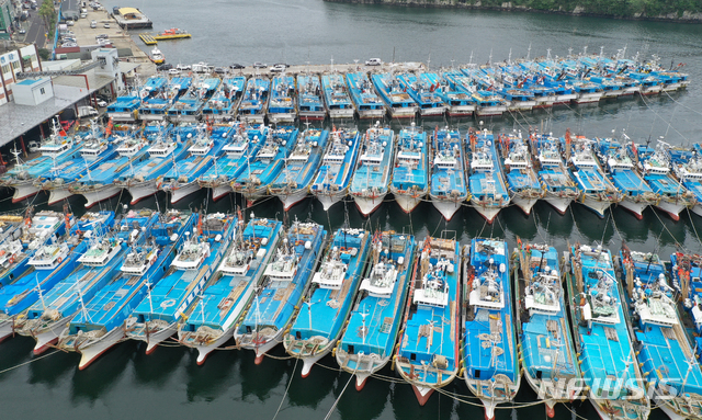 [서귀포=뉴시스]우장호 기자 = 제9호 태풍 '마이삭'이 북상 중인 1일 제주 서귀포시 서귀포항에 어선들이 피항해 있다. 기상청은 이날 늦은 밤 제주도남쪽먼바다를 시작으로 오는 3일까지 전국이 태풍의 영향권에 들것으로 예상하고 있다. 2020.09.01. woo1223@newsis.com