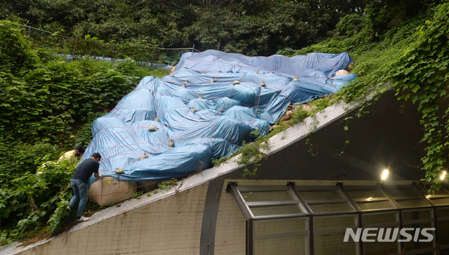 [전주=뉴시스] 김얼 기자 = 제9호 태풍 마이삭이 북상하고 있는 2일 전북 전주시 덕진구 진북동 어은터널에서 진북동 주민센터 관계자들이 산사태를 방지하기 위해 현장을 확인하고 있다. 2020.09.02.pmkeul@newsis.com