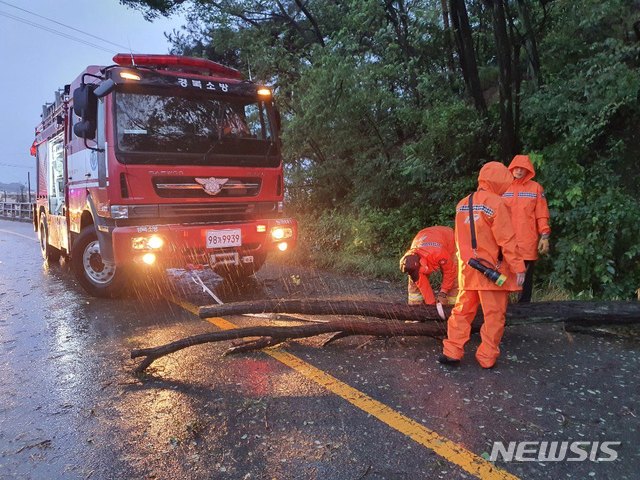 [안동=뉴시스] 3일 오전 칠곡군의 한 도로에서 가로수가 넘어져 소방당국이 출동해 치우고 있다. (사진=경북소방본부 제공) 2020.09.03