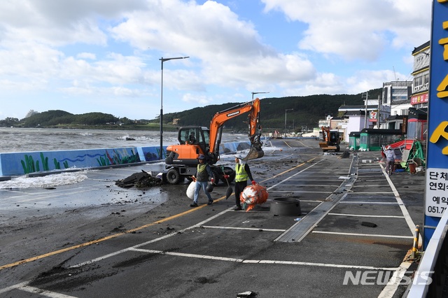 [부산=뉴시스] 제갈수만 기자 = 부산시 기장군은 3일 오전 전 부서 비상근무자들이 소관 시설·구역 별로 태풍 피해상황을 확인하고, 도로 주변 적치물과 태풍 비산물 등을 제거하는 복구조치를 진행하고 있다. (사진= 기장군 제공) 2020.09.03. photo@newsis.com