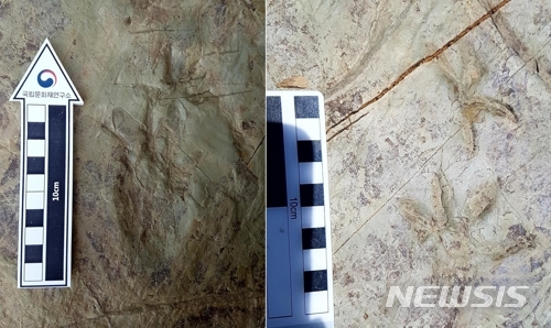 [서울=뉴시스]울주 반구대 암각화 주변에서 나온 사족 보행 척추동물 발자국 화석. 왼발(왼쪽)과 오른발 화석(사진=국립문화재연구소 제공)2020.09.04 photo@newsis.com