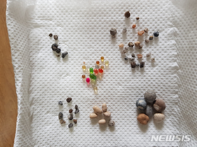 [서울=뉴시스]혜초스님 다비식 이후 수습된 사리 71과. (사진 = 한국불교태고종 제공) 2020.09.04.photo@newsis.com