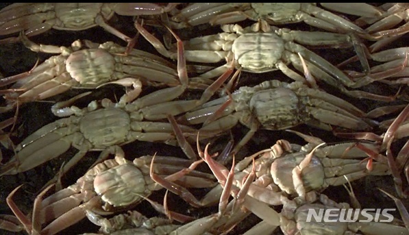 "75만원 결제했는데 방 없다" 환불거절 울산 대게집 사연은?