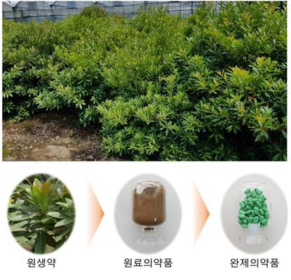 [서울=뉴시스] 사진=제넨셀 제공