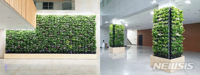 [대구=뉴시스]이지연 기자 = 대구 달서구 웃는얼굴아트센터는 로비 벽면 등에 공기정화 식물 7종을 심었다. (사진=달서구청 제공) 2020.09.09. photo@newsis.com