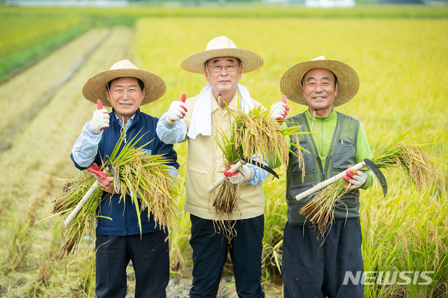 [구미=뉴시스] 박홍식 기자 = 장세용(가운데) 경북 구미시장이 11일 해평면 괴곡리 논에서 올해 첫 벼베기를 한 후 수확한 벼를 들고 활짝 웃고 있다. (사진=구미시 제공) 2020.09.11 photo@newsis.com