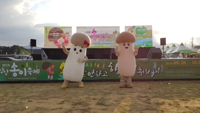 양양군 송이축제, 2018