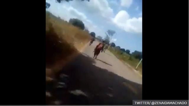 [서울=뉴시스]인권단체 국제사면위원회가 이번주 초 소셜미디어에서 널리 퍼진 소름끼치는 동영상과 관련, 모잠비크 여성을 사법 절차 없이 살해한 것이 분명하다며 즉각적인 조사를 요구하고 나섰다고 CNN이 16일(현지시간) 보도했다. 2분 가까운 분량의 이 동영상은 모잠비크 군복 차림에 AK-47 소총을 든 4명의 남성이 알몸의 여성에게 총 36발의 총격을 가하는 모습을 보여주고 있다. <사진 출처 : BBC 캡처> 2020.9.17