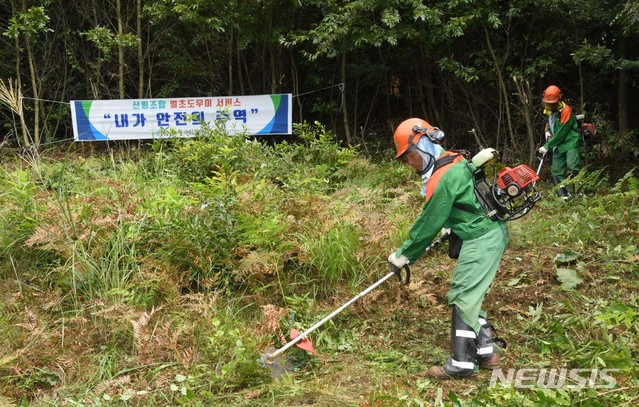 [서울=뉴시스]신종 코로나바이러스 감염증(코로나19) 확산 방지를 위해 방역당국이 고향 방문 자제 및 벌초 대행 서비스 이용을 권고하고 있는 가운데 18일 충남 서천군 벌초 대행 현장에서 산림조합 소속 작업자들이 벌초 작업을 하고 있다. (사진=산림청 제공) 2020.09.18.&nbsp; photo@newsis.com