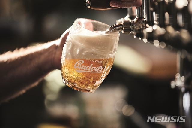 [서울=뉴시스]체코 부드바르 맥주