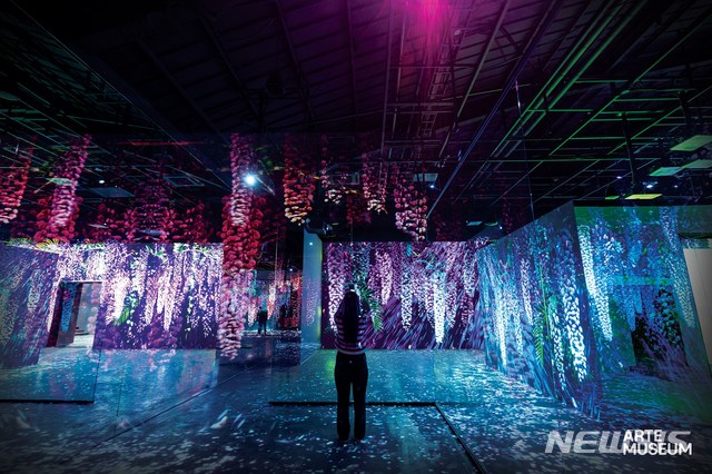 [서울=뉴시스] 디스트릭트_아르떼뮤지엄_Flower