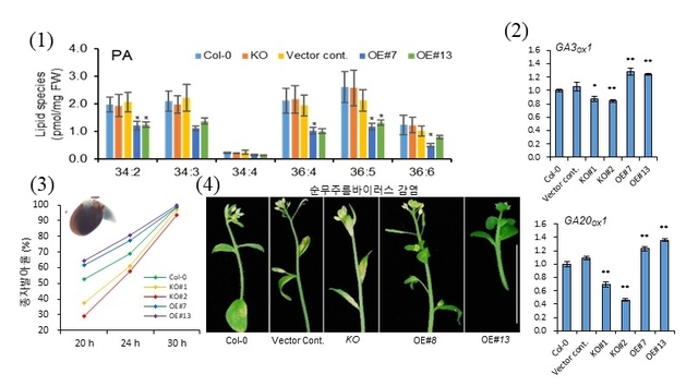 전남대 이옥란 교수팀 연구 실적. (그래프 제공 = 전남대학교)
