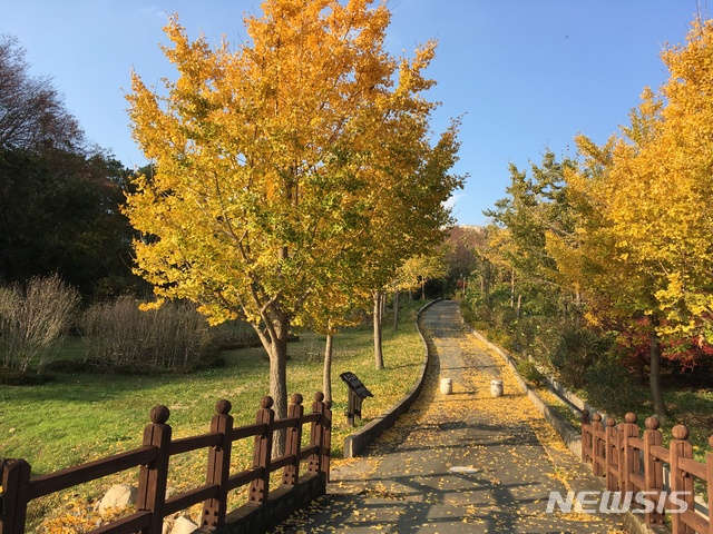 [창원=뉴시스] 경남 창원시 진해구 진해드림로드.(사진=경남도 제공)