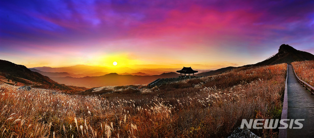 [창원=뉴시스] 경남 산청·합천군 황매산 억새.(사진=경남도 제공)
