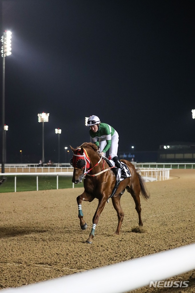 2017년도 두바이월드컵 트리플나인 출전 모습.