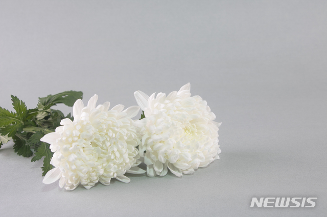 '정신질환 모녀' 어머니 돌연사-딸은 아사…집엔 쌀 15포대