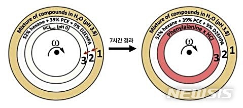 [대전=뉴시스] 페닐알라닌 추출 과정. 필수 아미노산 중 하나인 페닐알라닌을 복잡한 혼합물인 용매 1로부터 용매 3으로 추출하는 실험. 