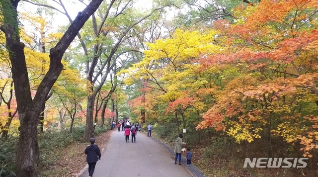 [보은=뉴시스] 국립공원공단 속리산국립공원사무소는 지난 5일 속리산 단풍이 추석 연휴가 시작된 9월 마지막 주부터 해발 1000ｍ 이상 고지대부터 물들기 시작했다고 밝혔다. (사진=국립공원공단 제공). 2020.10.05. photo@newsis.com