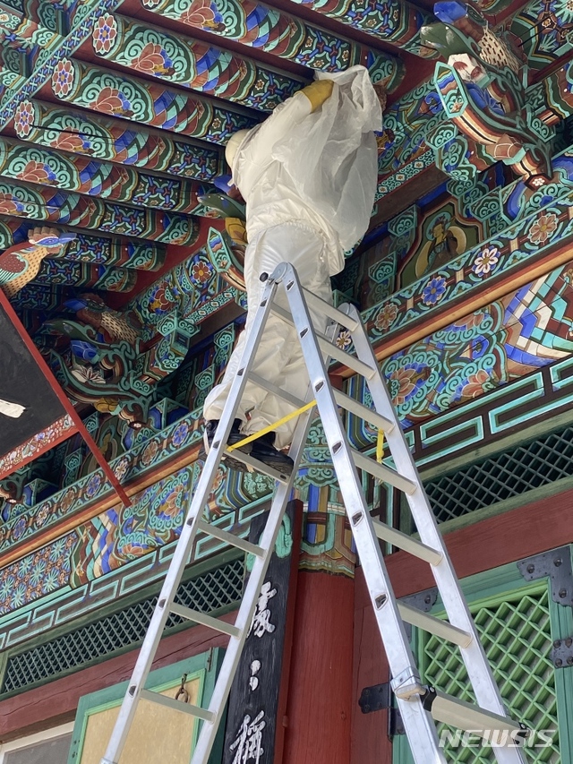 경남 창원소방본부 소속 소방관이 벌집을 제거하고 있다