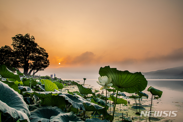 양평 세미원과 두물머리 풍경.