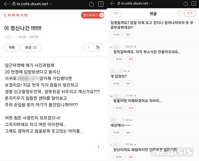 제주도내 한 인터넷 커뮤니티 반응 캡처.