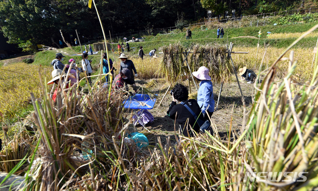 (사진=뉴시스DB)