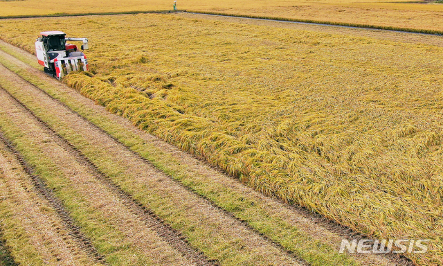 농식품 예산 3.2% 증액된 16.3조…재해 대응·초등학교 과일간식 지원