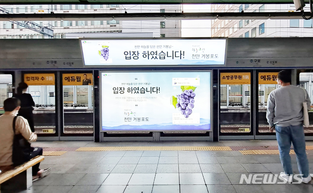 [천안=뉴시스]이종익 기자 = 서울 지하철역에 게시된 천안 거봉포도 홍보 이미지. 2020.10.20. (사진=천안시 제공) photo@newsis.com 