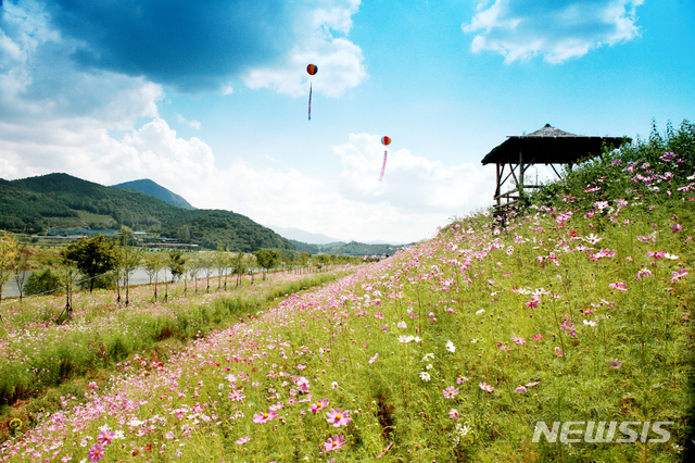 [서울=뉴시스]전남 곡성 대황강 자연휴식공원(사진=한국관광공사 제공)2020.10.21 photo@newsis.com