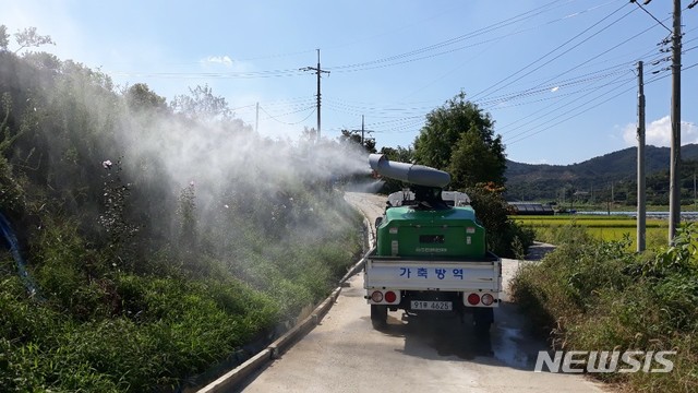 [세종=뉴시스]아프리카 돼지열병 방역 모습 