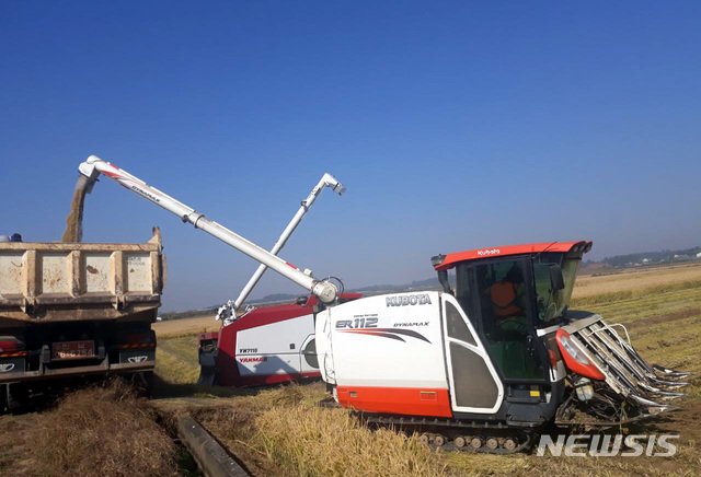 [영암=뉴시스] 영암 들녘 추수. (사진=독자 제공) 2020.10.12. photo@newsis.com 
