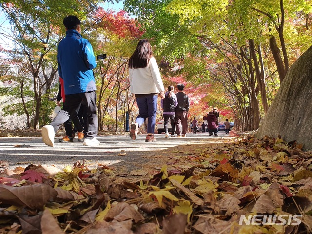 [인제=뉴시스] 한윤식 기자 = 강원 설악산 단풍이 절정을 이루고 있는 가운데 24일 오후 인제 필례약수터 길목에 알록달록 물든 단풍이 가을 정취를 더해주고 있다. 2020.10.24.ysh@newsis.com