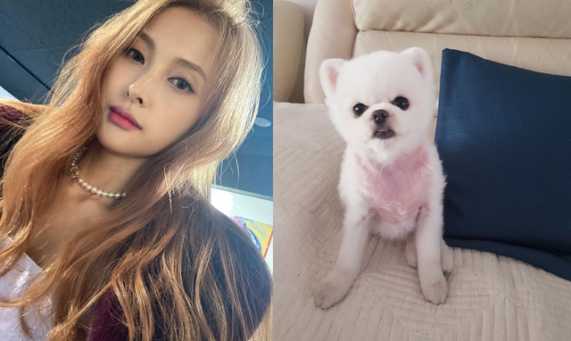 [서울=뉴시스] 그룹 '카라' 출신 가수 겸 배우 박규리와 반려견 '뽀뽀'. (사진 = 박규리 인스타그램) 2020.10.26. photo@newsis.com