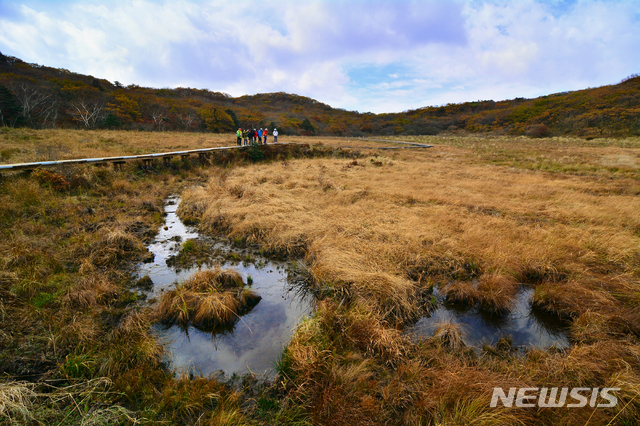 [서울=뉴시스] 강원 인제 대암산 용늪. (사진=뉴시스 DB) 2024.06.27. photo@newsis.com