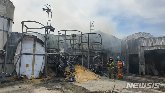 [무안=뉴시스] 변재훈 기자 = 29일 오전 10시59분께 전남 무안군 일로읍 한 돈사에서 불이 나 신고를 받고 출동한 소방당국에 의해 2시간 만에 꺼졌다. 이 불로 건물 1개동이 타 돼지 2000여 마리가 소사했다. (사진=전남소방 제공) 2020.10.29.photo@newsis.com